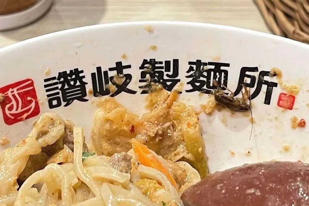 吃烏龍麵見整隻蟑螂在碗裡　店員扯「因為天氣熱」、總公司道歉