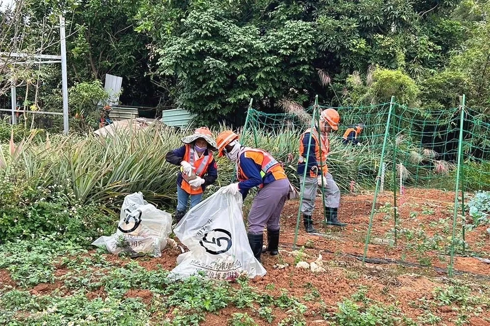 新北登革熱疫情升溫　中和、新店又增14例群聚個案