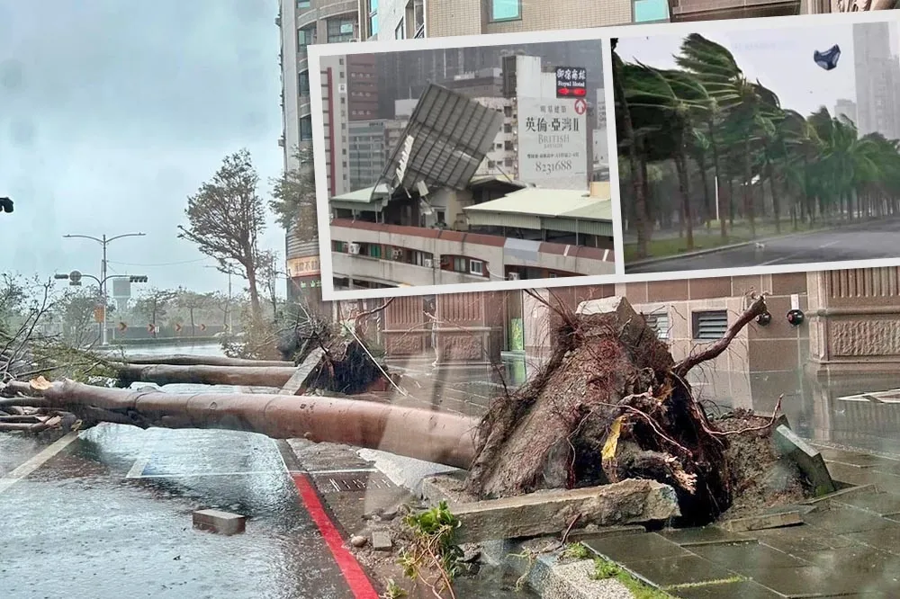 山陀兒驚奇暴風「什麼都能吹跑」　屋頂沒了、路樹倒了空中還有內褲飄