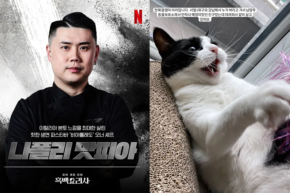 【Netflix 黑白大廚】冠軍「拿坡里黑手黨」IG、星座、MBTI、本名揭曉！曾在義大利米其林二星餐廳工作　是重度貓奴