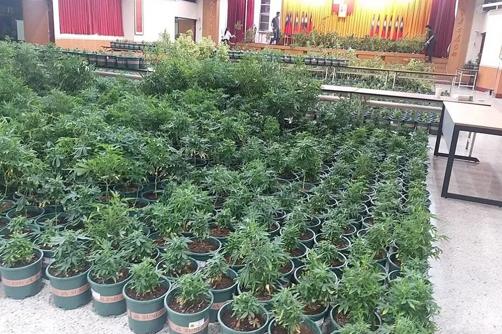 史上最大市值20億大麻植栽場　 幕後金主猛偷電遭罰540萬