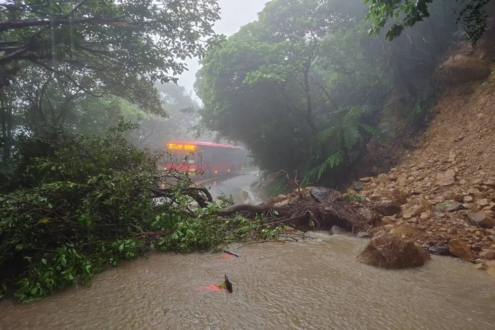 陽明山累積雨量破340毫米　陽金公路不敵豪雨坍方、交通中斷