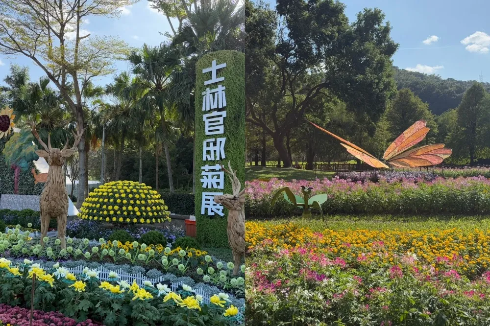 2024 士林官邸菊展 14 大展區搶先看！動物藝術裝置結合花海、首度開放至晚上 9 點