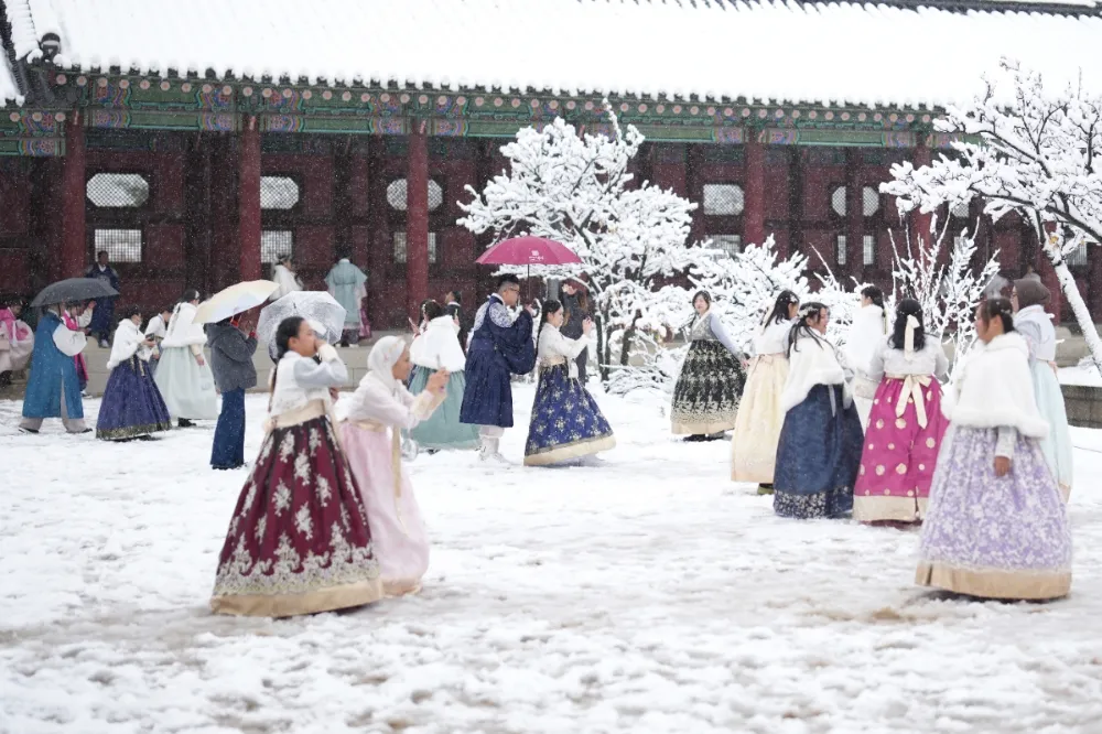 52年來最大暴風雪　首爾單日積雪20公分逾220架航班停飛