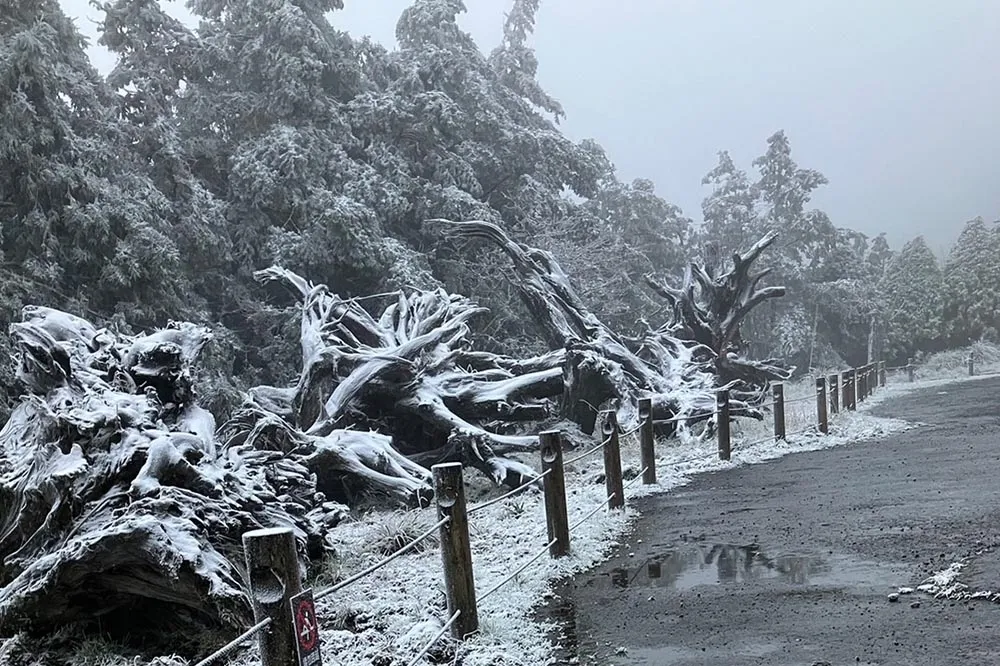 冷氣團接力報到！北台灣恐降至12°C　今晚高山有望下雪