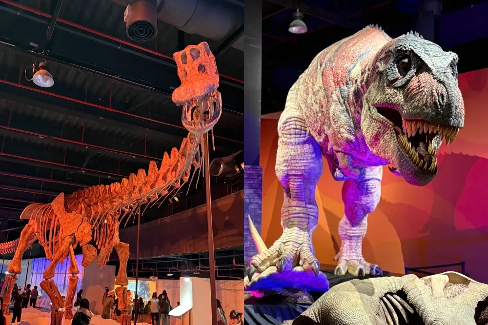 史前巨獸泰坦恐龍展震撼登場！37 米長恐龍首度在台亮相、體驗餵食巴洛龍