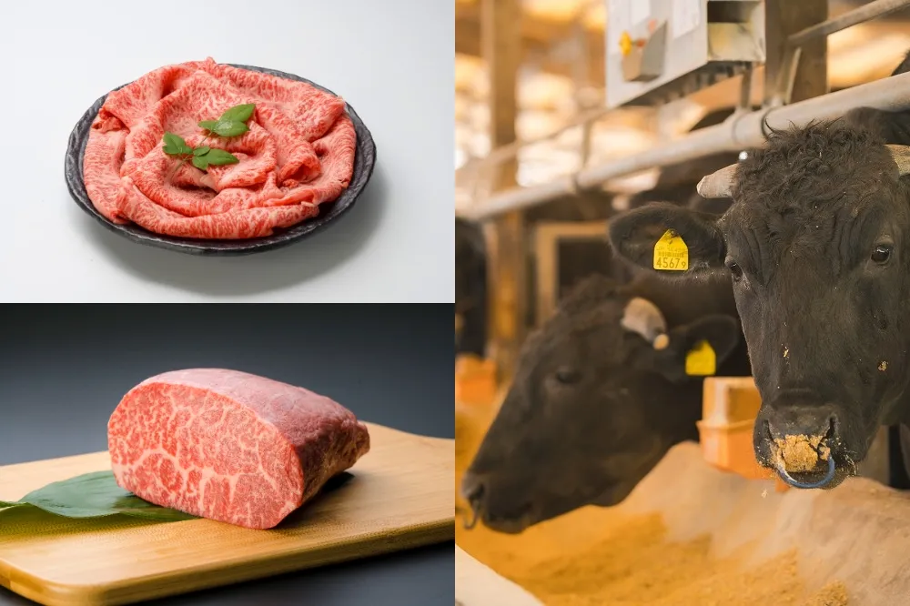 來「這四家餐廳」吃薩摩牛抽日本鹿兒島雙人來回機票！還有機會帶薩摩牛肉片回家