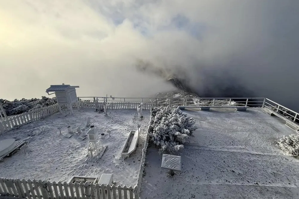 追雪族注意！強烈冷氣團來襲　高山最佳追雪時間點曝光