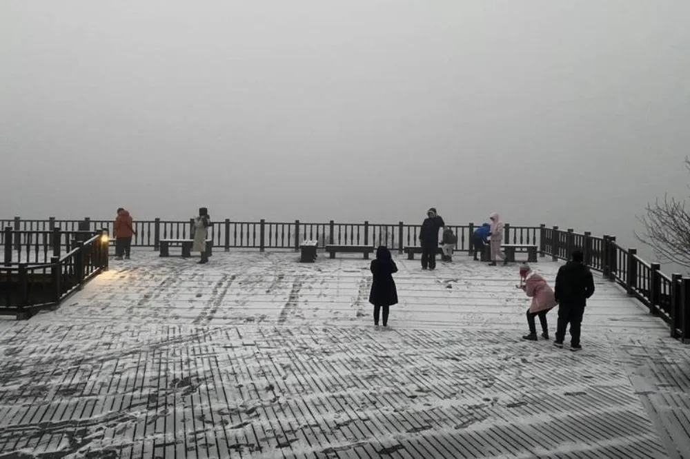 雪來了！玉山飄雪成銀白世界　宜蘭太平山降下冰霰