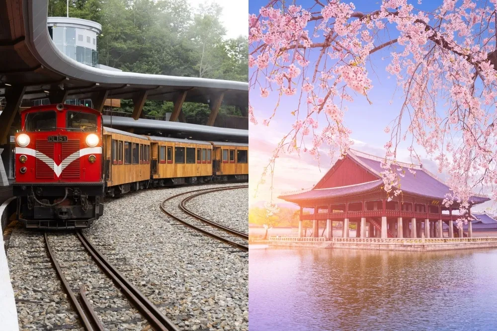 2025 台日韓櫻花季必遊路線！武陵保證入園穿浴衣賞櫻、朝聖北海道五稜郭公園粉色美景