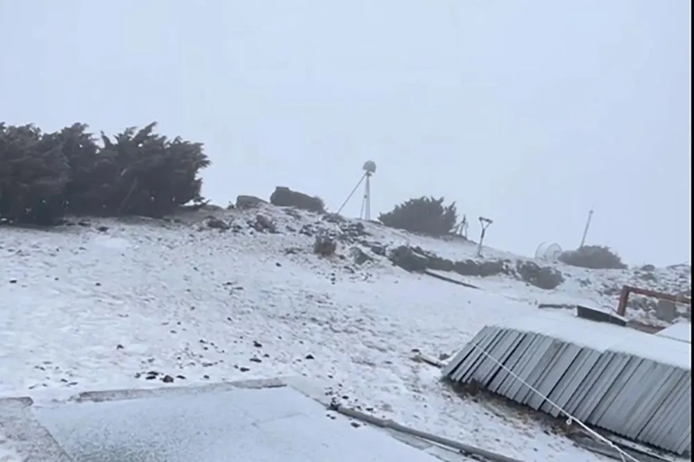 快訊／玉山又下雪啦　15:50開始一直持續飄雪中