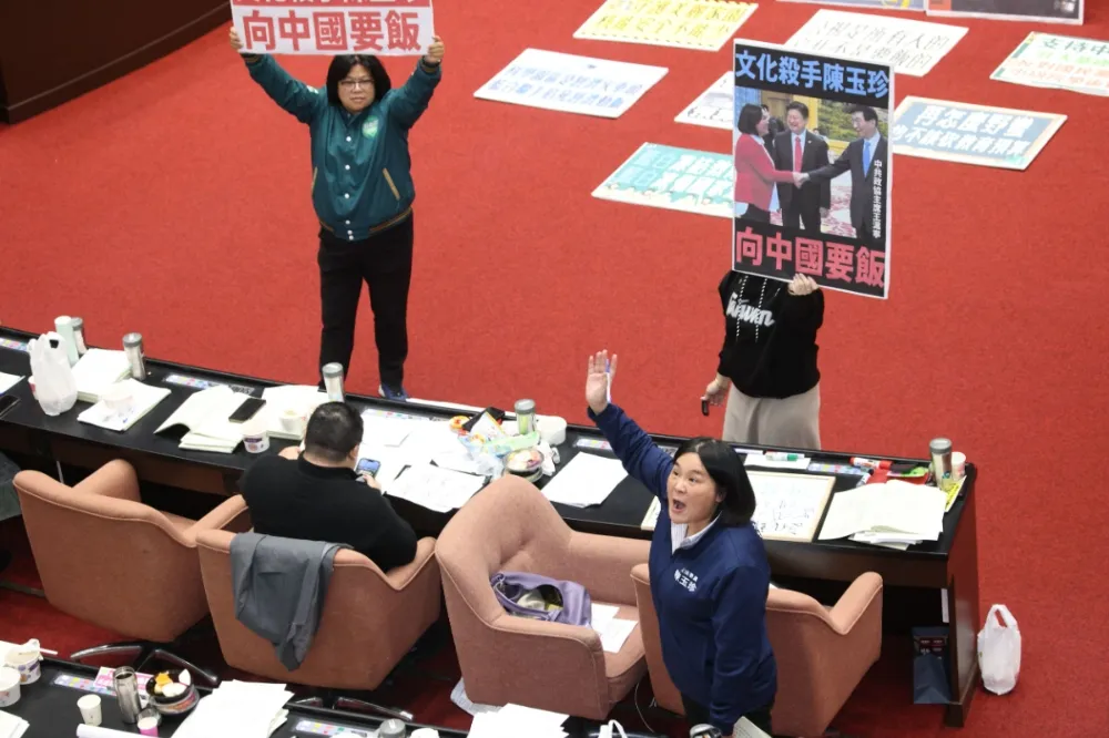 【預算表決戰】藍白刪凍總統府業務費70%　陳玉珍：期待總統啟動院際調解