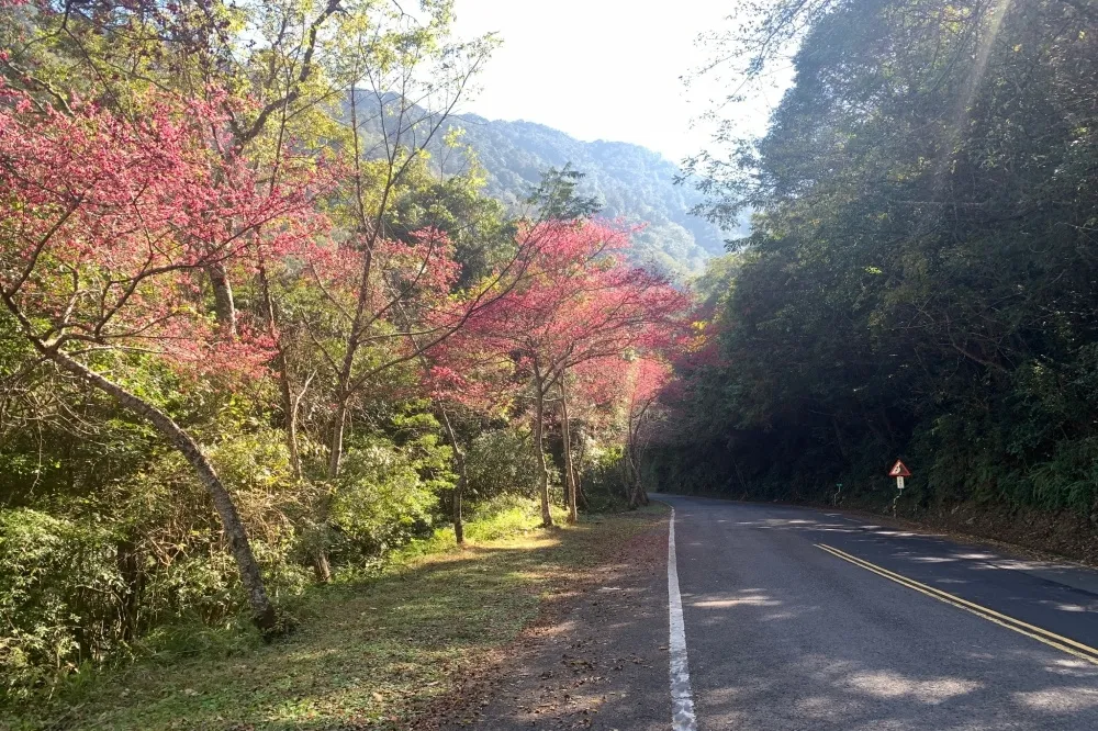 用路人注意！南橫公路春節9天連假全線通車　但「這2天」有管制時段