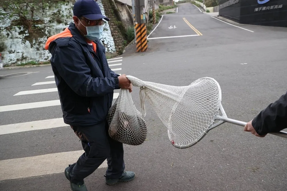 六福村狒狒逃脫遭射擊慘死　農業局技工下令「開槍」被判刑8月