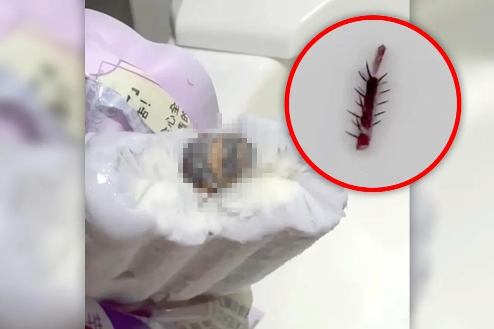 基隆老店「連珍」聯名雪糕藏巨型蟑螂　網友咬斷腳崩潰喊：噁爆！