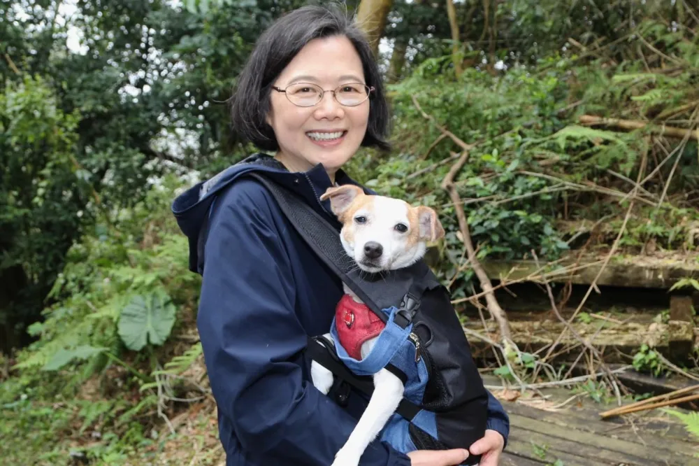 蔡英文挑戰「樟之細路」　笑稱愛犬樂樂：爬到懷疑狗生