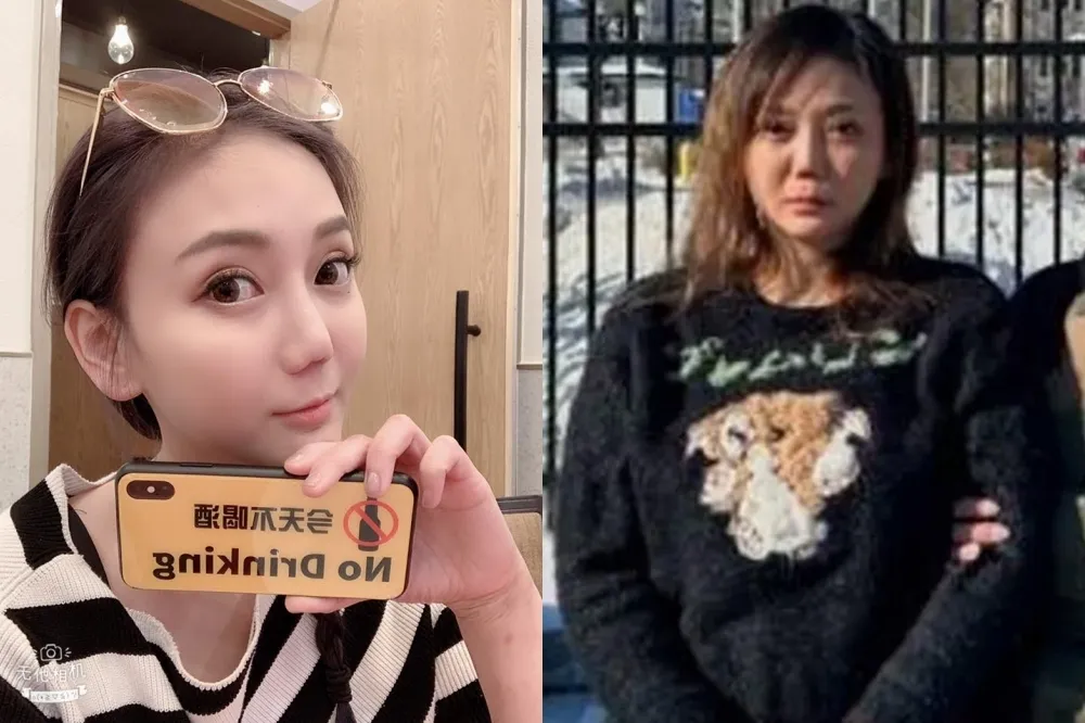 「太陽花女王」劉喬安傳被捕當下失禁　黑幫男友幫申請政治庇護拖遣返時間