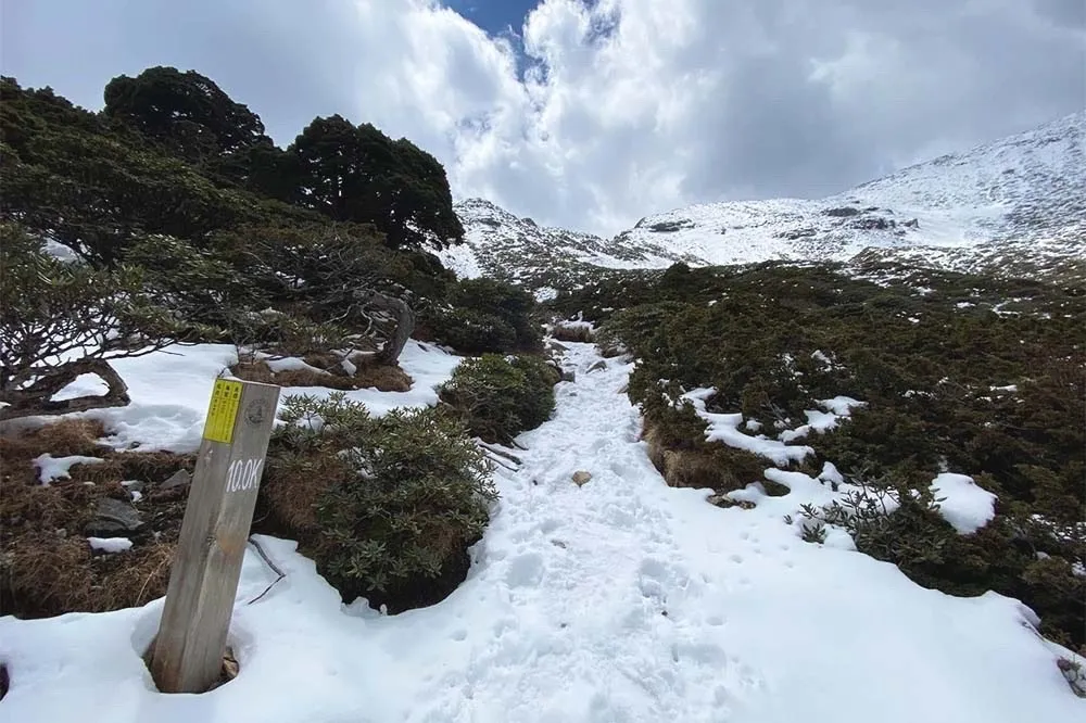 追雪族注意！雪霸山區仍有積雪　雪管處示警：別被山下氣溫誤導