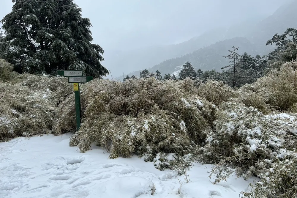 山友攀奇萊東稜「趴倒路徑上」無呼吸心跳　還有16人受困大雪待救援