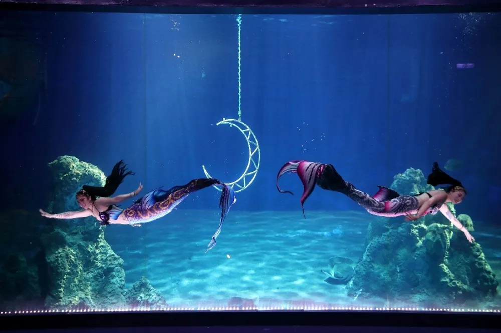 花蓮海洋公園「美人魚嘉年華」4 月登場！人魚實境秀改付費預約制、新推兒童專屬美人魚體驗