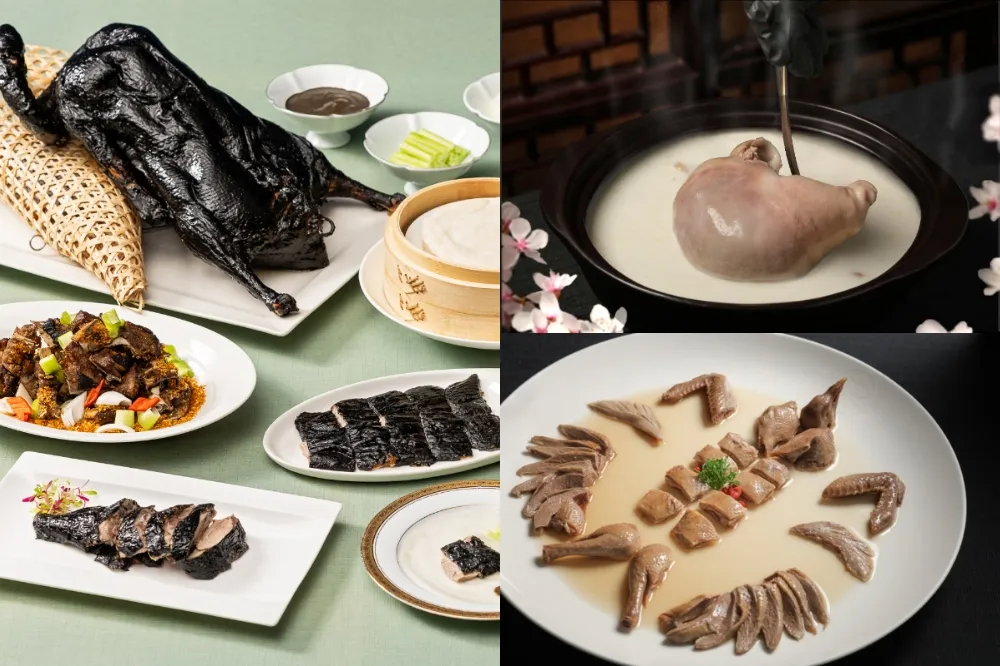 初春粵宴！國賓中餐廳推「松露墨羽三吃」　晶華軒「鳳凰投胎」、「玫瑰醉鴿皇」新菜登場