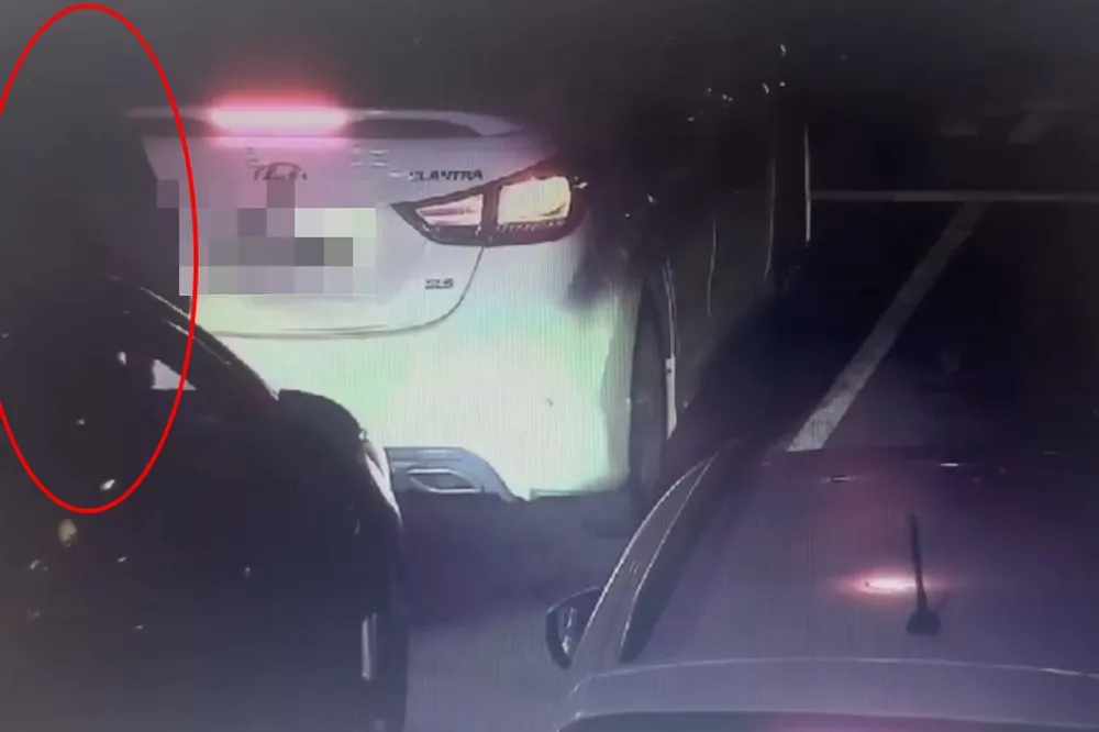 【有片】活膩了？高雄男坐汽車引擎蓋爽「兜風」　車主恐須付出高額代價
