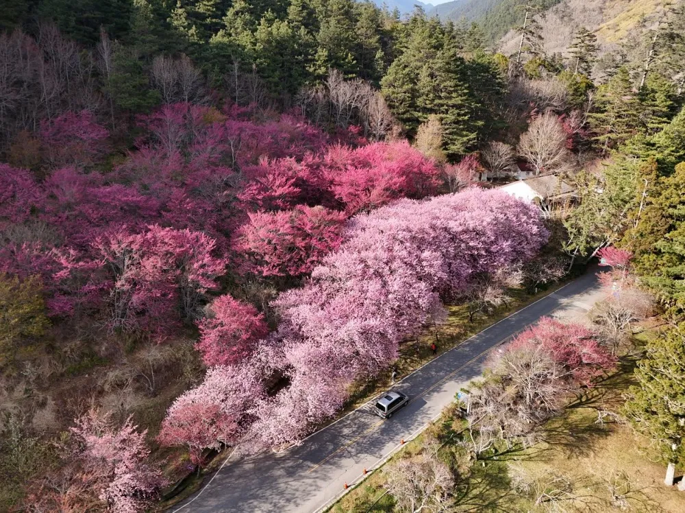 武陵農場