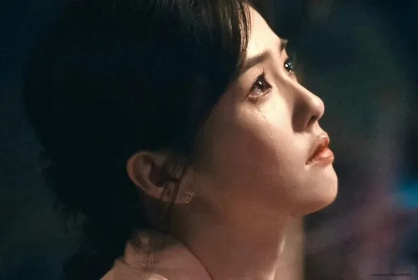 白鹿